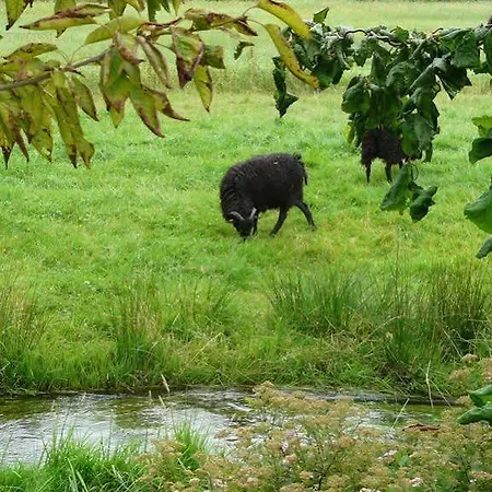 Hotel Im Wiesengrund Hermannsburg